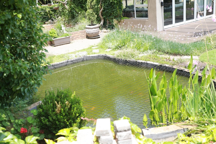 4 Bedroom Property for Sale in Harrismith Free State